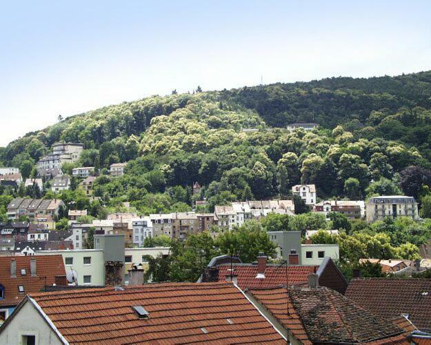 Ferienwohnung Appolonia Neustadt an der Weinstraße Εξωτερικό φωτογραφία
